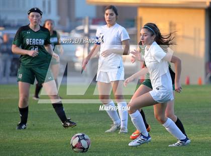 Thumbnail 2 in Reagan vs. O'Connor photogallery.
