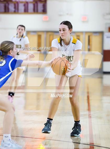 Thumbnail 1 in Eldred vs. Northville (NYSPHSAA Class D Regional Final) photogallery.