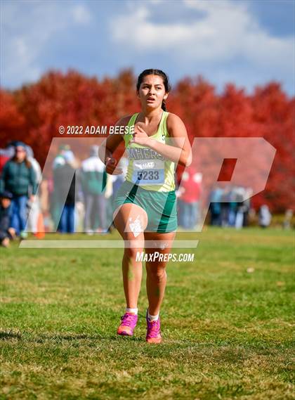 Thumbnail 2 in Southwest Conference Cross Country Championship photogallery.