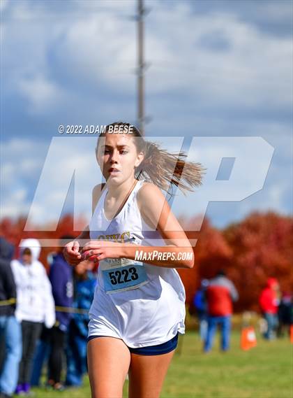 Thumbnail 3 in Southwest Conference Cross Country Championship photogallery.