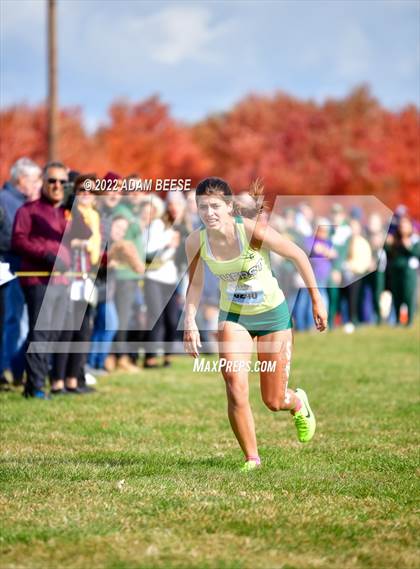 Thumbnail 1 in Southwest Conference Cross Country Championship photogallery.