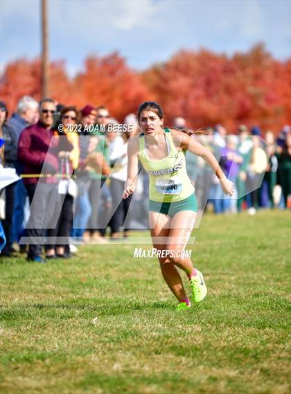 Thumbnail 2 in Southwest Conference Cross Country Championship photogallery.