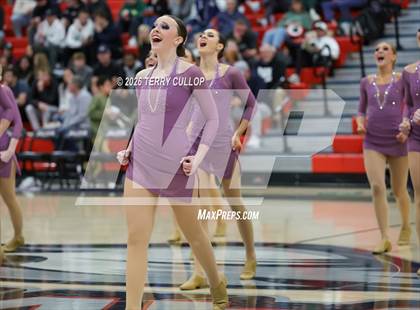 Thumbnail 1 in Alta "Hawkettes" photogallery.