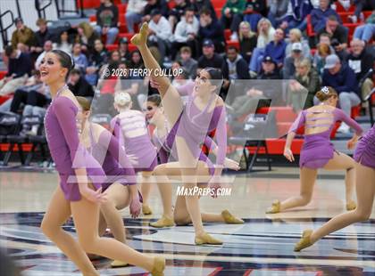 Thumbnail 3 in Alta "Hawkettes" photogallery.