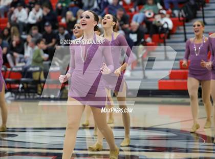 Thumbnail 3 in Alta "Hawkettes" photogallery.