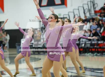 Thumbnail 1 in Alta "Hawkettes" photogallery.