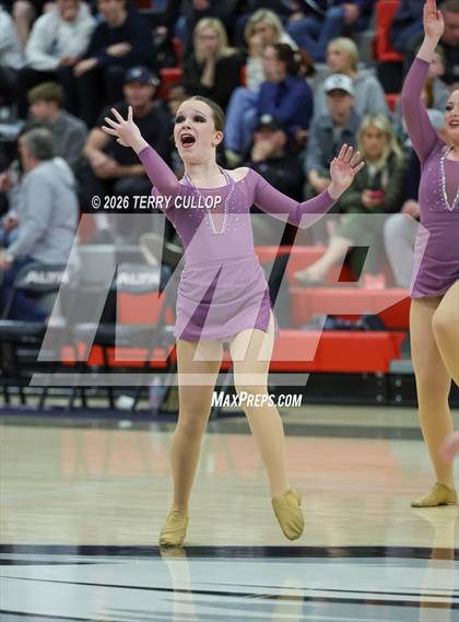 Thumbnail 1 in Alta "Hawkettes" photogallery.