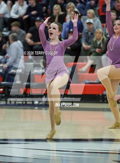 Thumbnail 3 in Alta "Hawkettes" photogallery.