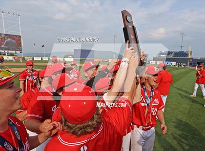 Thumbnail 1 in Montoursville vs. Indiana (PIAA 4A Championship) photogallery.