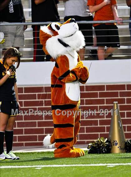 Thumbnail 3 in Mansfield @ Mansfield Timberview photogallery.
