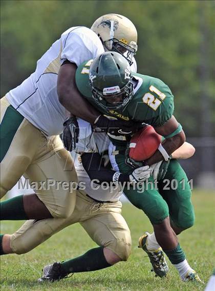 Thumbnail 1 in Longwood @ William Floyd photogallery.