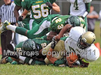 Thumbnail 1 in Longwood @ William Floyd photogallery.