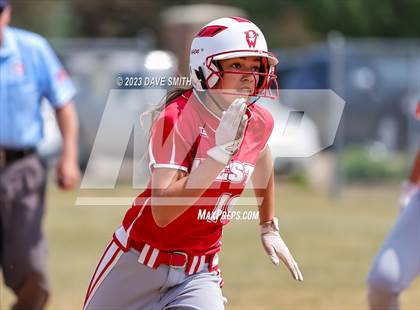 Thumbnail 1 in Edgewood-Colesburg vs Davenport West (West Delaware Invitational) photogallery.
