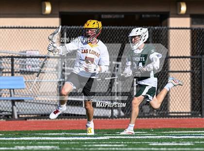 Thumbnail 2 in JV: Miramonte @ Las Lomas photogallery.