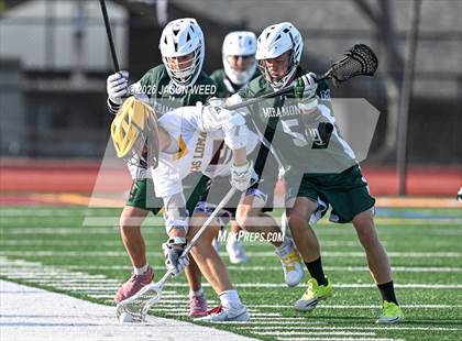 Thumbnail 2 in JV: Miramonte @ Las Lomas photogallery.