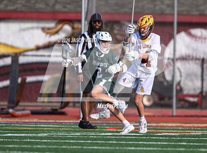 Thumbnail 3 in JV: Miramonte @ Las Lomas photogallery.