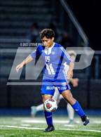 Photo from the gallery "Laguna Creek @ Christian Brothers"