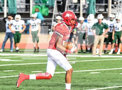 Thumbnail 1 in Albany vs. Santo (UIL 2A Region 2 Area Playoff) photogallery.