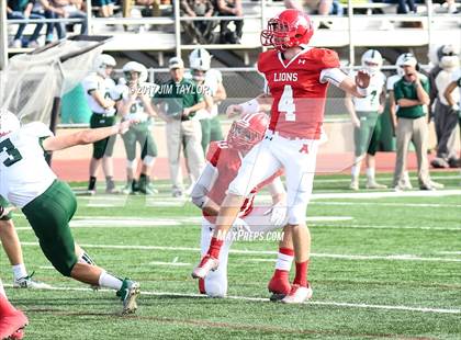 Thumbnail 1 in Albany vs. Santo (UIL 2A Region 2 Area Playoff) photogallery.