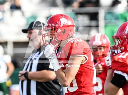 Thumbnail 2 in Albany vs. Santo (UIL 2A Region 2 Area Playoff) photogallery.