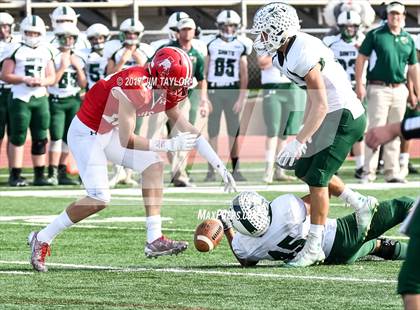 Thumbnail 1 in Albany vs. Santo (UIL 2A Region 2 Area Playoff) photogallery.