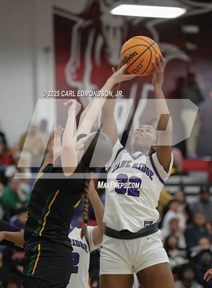 Thumbnail 2 in Hillsboro vs Cane Ridge photogallery.