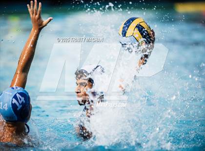 Thumbnail 3 in Evergreen Valley @ Branham photogallery.