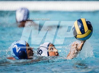 Thumbnail 1 in Evergreen Valley @ Branham photogallery.