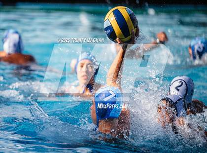 Thumbnail 1 in Evergreen Valley @ Branham photogallery.