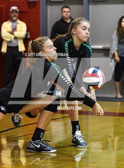 Thumbnail 1 in Windsor vs Drake (Jamboree) photogallery.