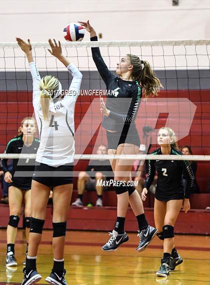 Thumbnail 3 in Windsor vs Drake (Jamboree) photogallery.