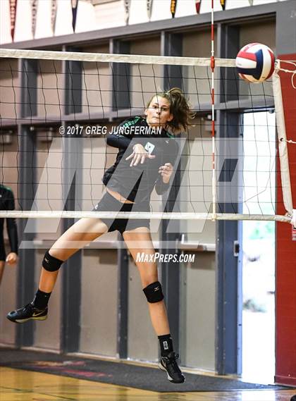 Thumbnail 3 in Windsor vs Drake (Jamboree) photogallery.