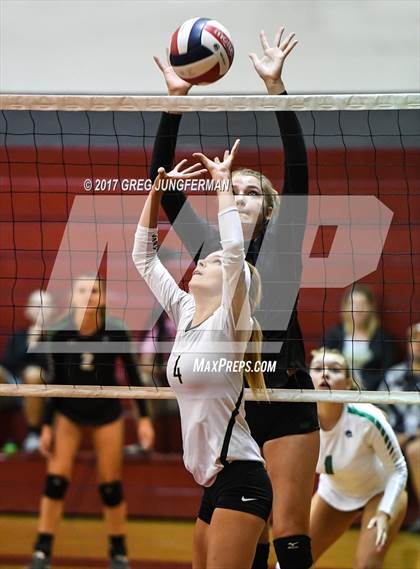 Thumbnail 1 in Windsor vs Drake (Jamboree) photogallery.