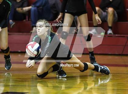 Thumbnail 1 in Windsor vs Drake (Jamboree) photogallery.