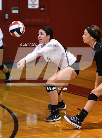Thumbnail 2 in Windsor vs Drake (Jamboree) photogallery.