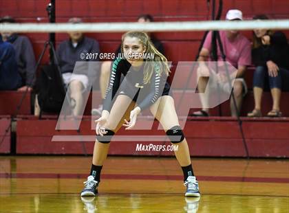 Thumbnail 1 in Windsor vs Drake (Jamboree) photogallery.