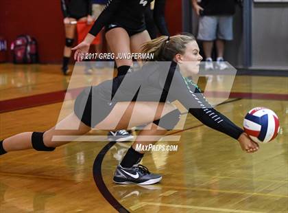 Thumbnail 2 in Windsor vs Drake (Jamboree) photogallery.