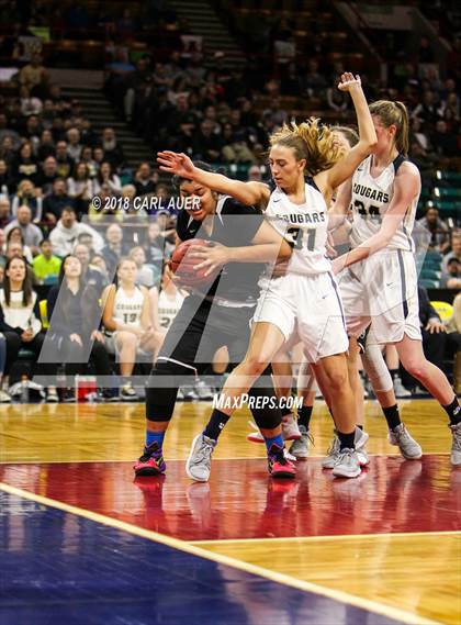 Thumbnail 1 in Pueblo South vs. Evergreen (CHSAA 4A Final) photogallery.