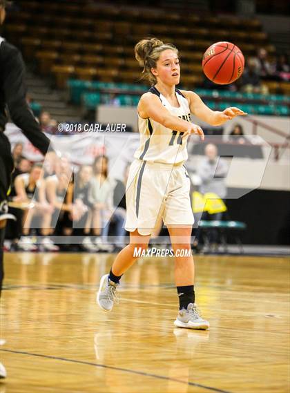 Thumbnail 1 in Pueblo South vs. Evergreen (CHSAA 4A Final) photogallery.