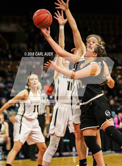 Thumbnail 1 in Pueblo South vs. Evergreen (CHSAA 4A Final) photogallery.