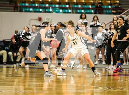 Thumbnail 3 in Pueblo South vs. Evergreen (CHSAA 4A Final) photogallery.