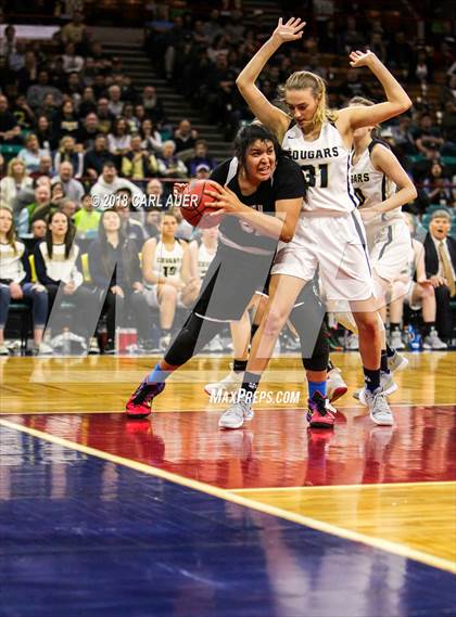 Thumbnail 1 in Pueblo South vs. Evergreen (CHSAA 4A Final) photogallery.
