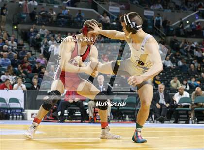 Thumbnail 1 in NJSIAA Wrestling Championships (Finals) photogallery.