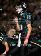 Photo from the gallery "Basha @ Highland"