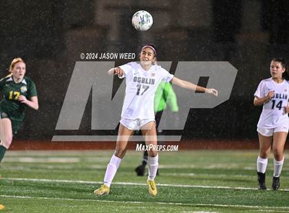 Thumbnail 1 in Dublin @ Castro Valley CIF NCS Playoff photogallery.