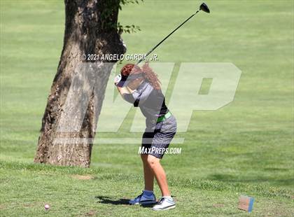 Thumbnail 1 in Bay Valley Athletic League Championship photogallery.