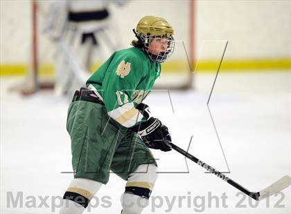 Thumbnail 3 in Notre Dame-West Haven vs. Notre Dame-Fairfield (Carrano Cup Semifinal) photogallery.