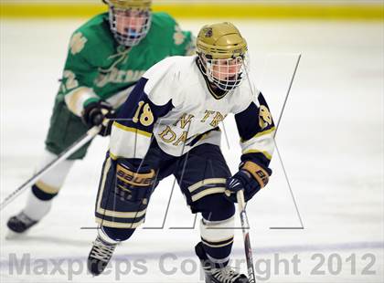 Thumbnail 3 in Notre Dame-West Haven vs. Notre Dame-Fairfield (Carrano Cup Semifinal) photogallery.