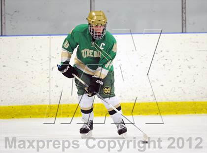 Thumbnail 1 in Notre Dame-West Haven vs. Notre Dame-Fairfield (Carrano Cup Semifinal) photogallery.