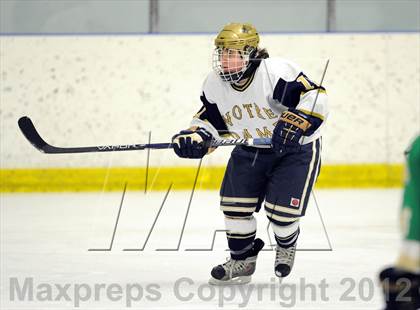 Thumbnail 2 in Notre Dame-West Haven vs. Notre Dame-Fairfield (Carrano Cup Semifinal) photogallery.